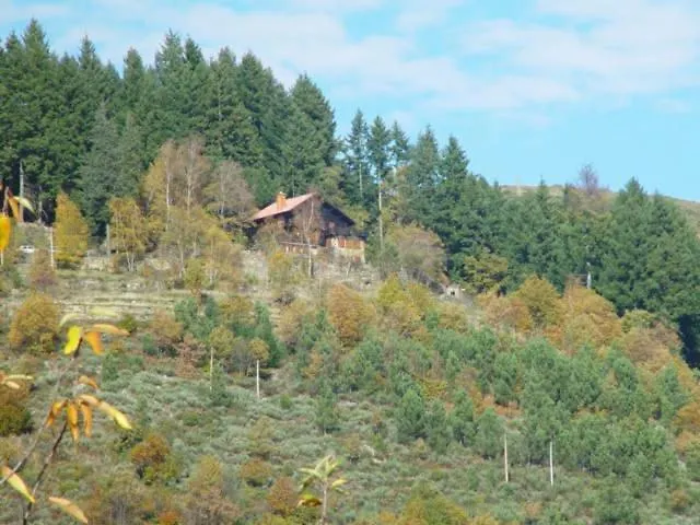 Descanso Serrano ゲストハウス