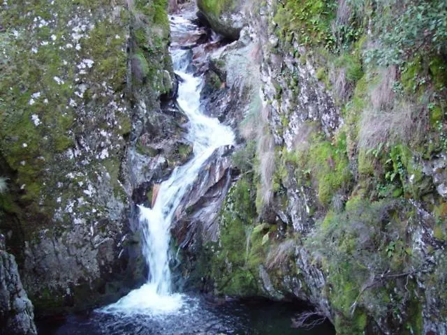 ゲストハウス Descanso Serrano 3*